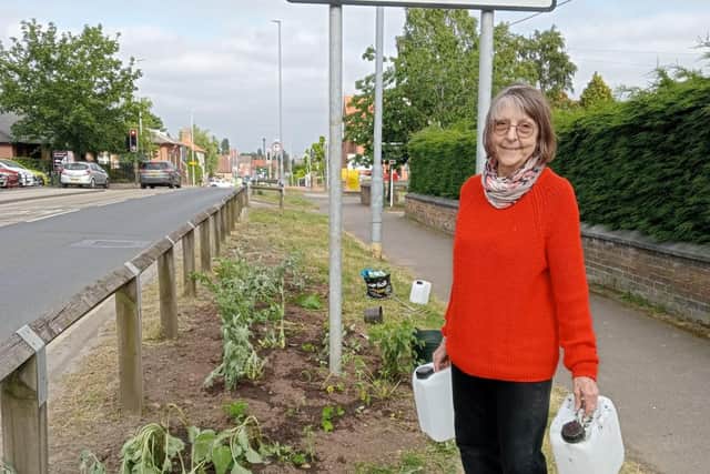 Edwinstowe in Bloom, a project created to help revive the community spirit of the village by developing sustainable social planting and gardening schemes, has been awarded £2,000