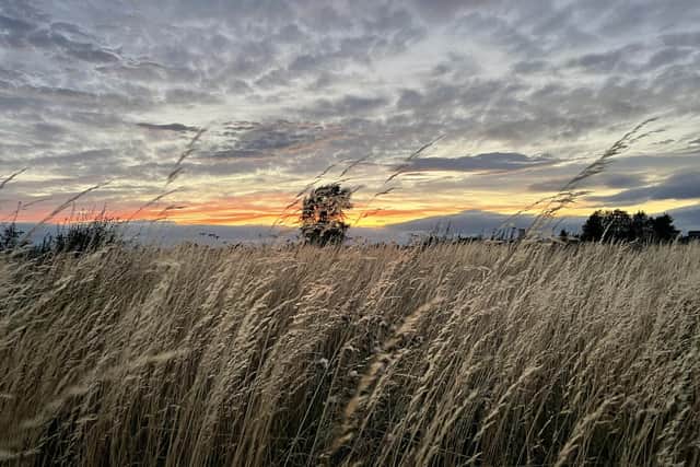 James Richardson won in the age group eight-12 after taking this photo while on a walk with his dog in Clarborough.