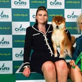 Michaella Dunhill-Hall and Liz Dunhill from Clumber Park, with Yang, a Japanese Shiba Inu, which was the Best of Breed winner today (Sunday 12.03.23), the last day of Crufts 2023, at the NEC Birmingham.
Crufts 2023 is taking place between the 9th and the 12th March 2023, at the NEC, Birmingham.