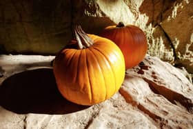 There's Halloween activities for all ages at Creswell Crags.