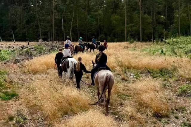 You can get awawy from it all by going horse trekking at Matlock Farm Park.