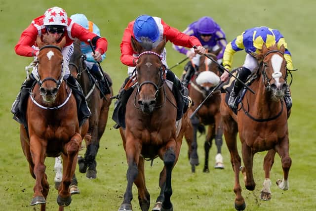 Sacred (centre) wins the Nell Gwyn Stakes at Newmarket and is now our expert's tentative fancy for Sunday's 1000 Guineas. (PHOTO BY: Alan Crowhurst/Getty Images)
