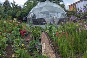 Oasis Community Garden is a sanctuary for people in Worksop