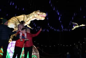 The spectacular Yorkshire Wildlife Illuminations will be running on selected dated between November 2021 and January 2022.