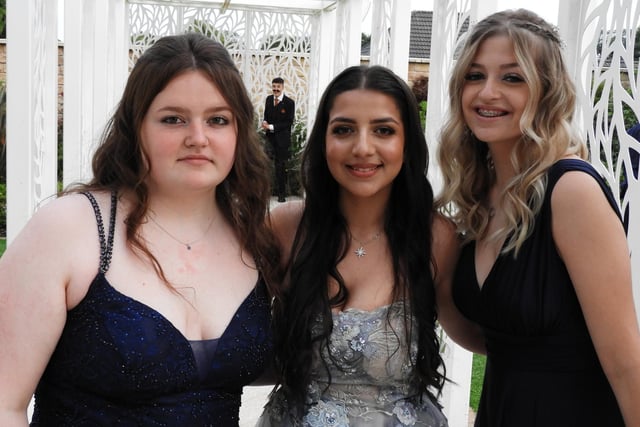 Students pose for picture at the Retford Oaks Year 11 prom.