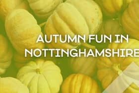 Autumn fun in Nottinghamshire