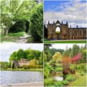 Some of the beautiful scenes that can be seen on this walk. (pictures: Sally Outram)
