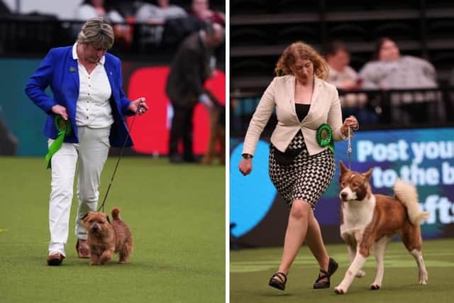 Ruth Gee with Boozy (left) and Annette Davis-Green with Michael, both won best in breed - Credit: Beat Media/The Kennel Club