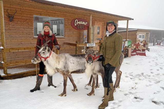 Louise Huby, Yard Manager and Bev Griffiths, Owner, pictured with Rudolph and Dasher, Norwegian Reindeer at Equine Dreams, formerly Horse World. Picture: NDFP-02-02-21-EquineDreams 1-NMSY