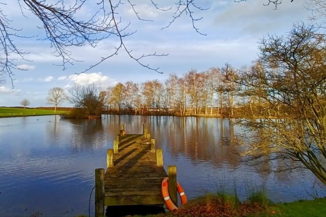 ​A lovely spring scene snapped by Michael Parrott on his recent walk in the Worksop area.