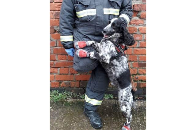 Dave Cross and Dexter are retiring from East Midlands fire service. Photo credit: Twitter.com/midsdog