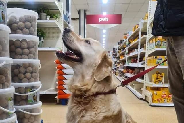 Pets will be allowed into dozes of Wilko stores, including the one in Retford.