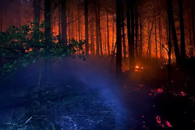 Fire crews battle blaze larger than five football pitches at Sherwood Pines