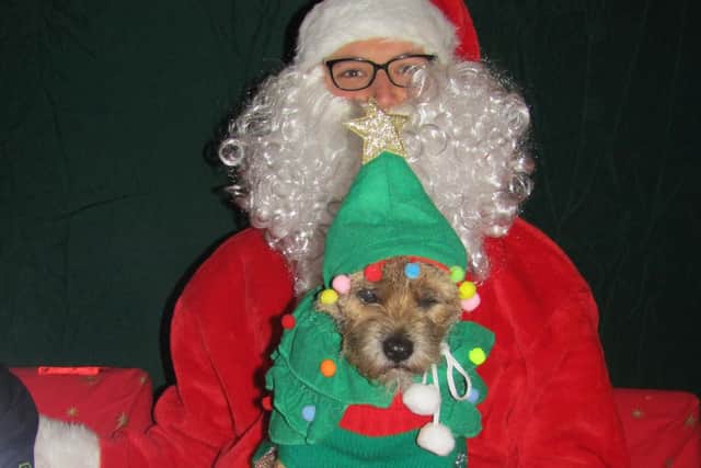 A suitably festive-attired Twiglet meets Santa.