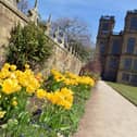 Blossom is blooming across Derbyshire and the National Trust is inviting people to emulate Japan’s Hanami – the ancient tradition of viewing and celebrating blossom - with its #BlossomWatch campaign. Hardwick Hall in spring bloom. 
