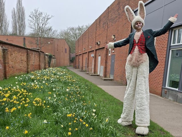 Easter Bunny admires a wildflower patch within the town centre.