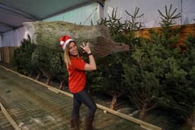 Bluebell Wood Children's Hospice are running a collection-based Christmas tree recycling service. Pictured: Samantha Wood