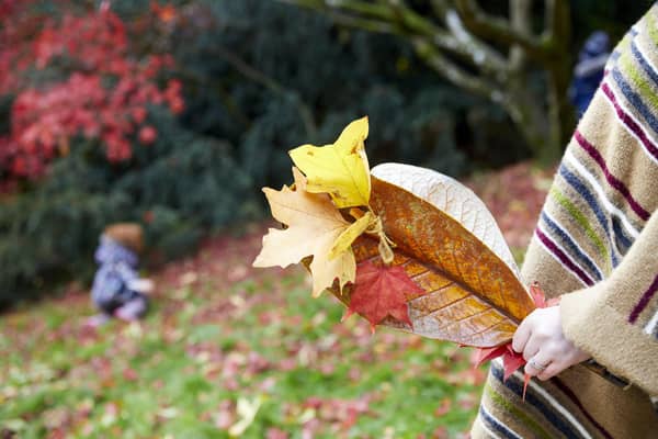 Make the most of autumn with the National Trust