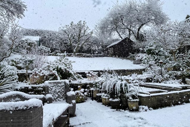 Thanks to Linda Turner for this snowy view of her garden.