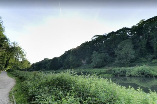 If you need a breath of fresh air, why not explore the 1.6 kilometre loop trail at Creswell Crags?
