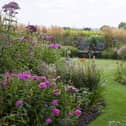 Colourful garden borders in the garden in Letwell. Picture: National Garden Scheme