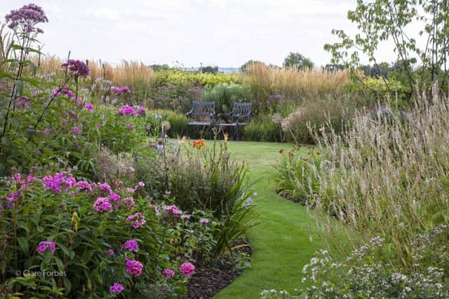 Colourful garden borders in the garden in Letwell. Picture: National Garden Scheme