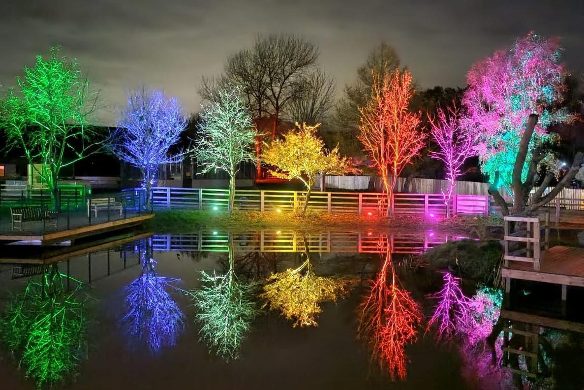 Light Post Farm returns with new features for festive season