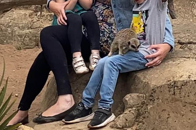Rebecca Blanshard and her two children meeting the meerkats