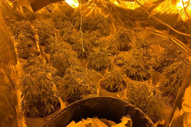 West Bassetlaw Police seized £80,000 of cannabis from a property in Manton