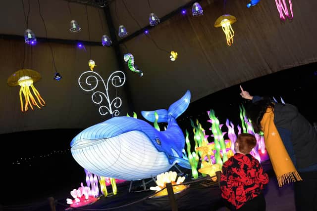 This year’s trail will explore four major themes - Under the Sea, World of Fantasy, Animal Adventure and Fairy-tale Kingdom – along the route.