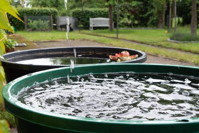 Water butts are an affordable way to store rainwater for use in drier parts of the year (photo: Adobe)