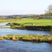 Almost 100 water pollution incidents have been recorded in Bassetlaw in the last five years
