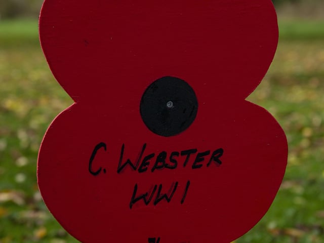 Poppies bear the names of those we have lost.