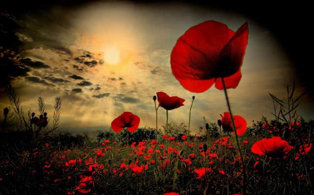 At the going down of the sun.......The poppy is the symbol of a weekend that is dominated by Armistice Day and Remembrance Sunday. But after paying your respects to the fallen, there is a variety of places to go and things to do over the next few days. Check out our guide
