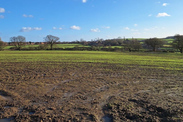 There's a nice contrast between a muddy field and the blue sky in this latest snap taken by Andy Eyre.
