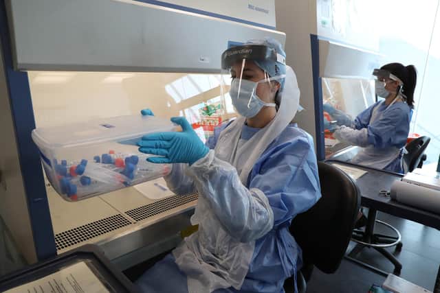 Live samples in test tubes are held in a container during the opening of the new Covid-19 testing lab at Queen Elizabeth University Hospital (Photo by Andrew Milligan - WPA Pool/Getty Images)