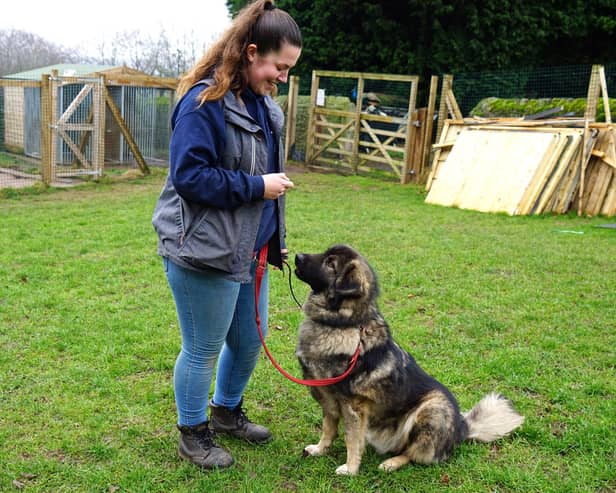 Kennel manager Jade Sheldon works at the site full time and cares for the dogs on a daily basis.