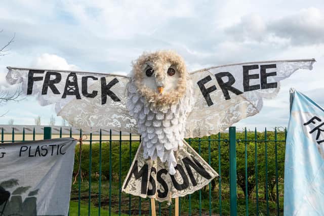 Fracking barn owl. Picture: Sophie Bell.