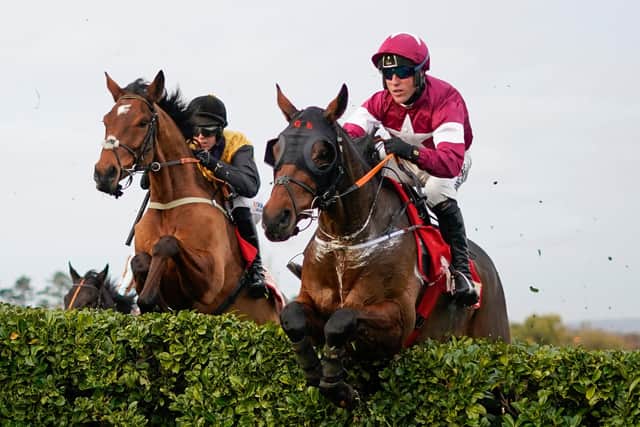 Dual Grand National winner Tiger Roll, who will be gunning for his sixth victory at the Cheltenham Festival. (PHOTO BY: Alan Crowhurst/Getty Images)