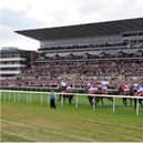The four day St Leger meeting gets under way on Wednesday.