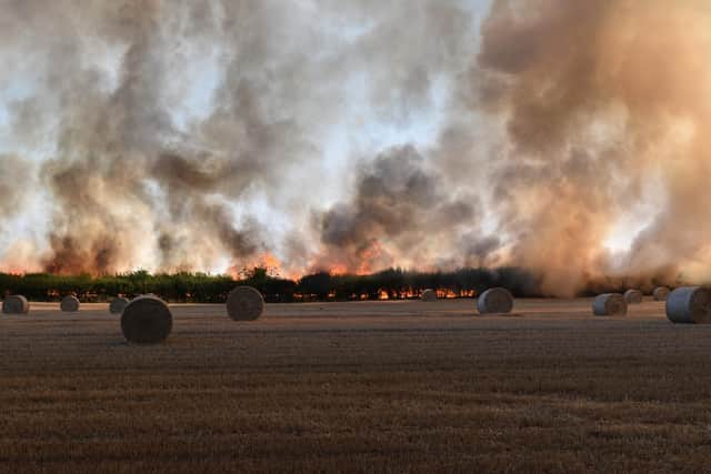 Twelve fire engines battled against the blaze. Credit: Peter Brown