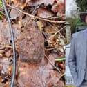David Ecob found the grenade whilst out with his metal detector