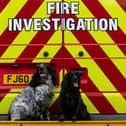 Fire Investigation Dogs Ginny and Barney, alongside their handlers, have been named winners of the Special Team Award at the UK Service Dogs Awards 2026.