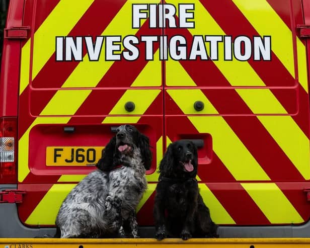 Fire Investigation Dogs Ginny and Barney, alongside their handlers, have been named winners of the Special Team Award at the UK Service Dogs Awards 2026.