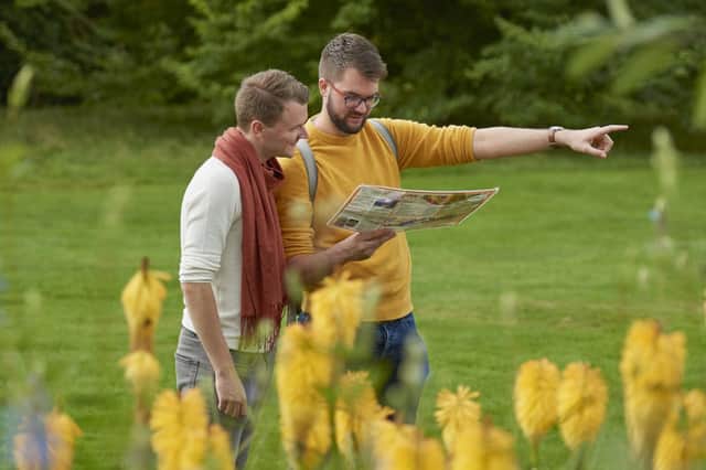 There are plenty of options to enjoy a scenic spring walk. picture National Trust Images/Trevor Ray Hart