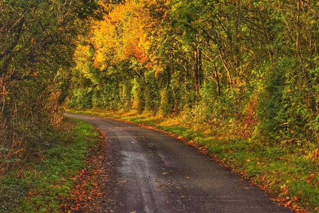 The autumnal colours are wonderful in this lovely photo taken in Langley Mill by 28SW Photography.