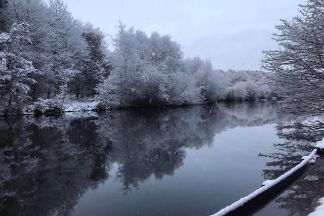 A snowy Vicar Water Country Park
