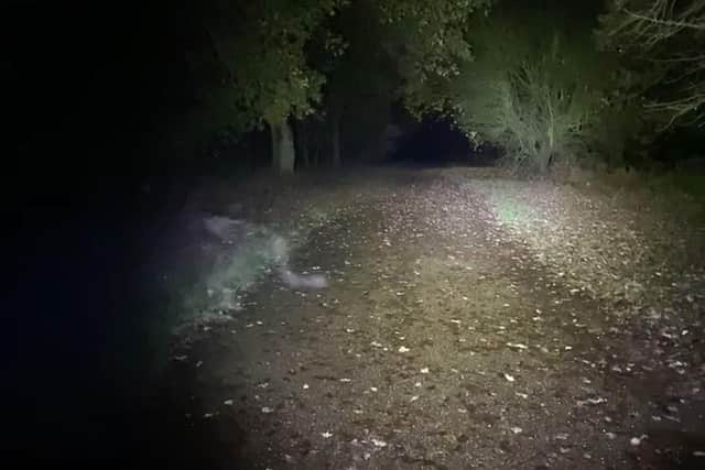 The 'live' photo, captured by Hannah, shows a 'scary' white silhouette crossing the path in front of her as she follows it with a torch. Photo: Kennedy News & Media