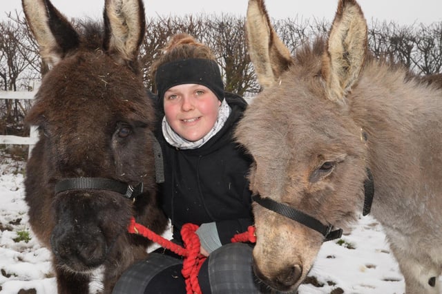 Paisley Cooper, Head Girl, pictured with Star and Cookie, Miniature Donkeys. Picture: NDFP-02-02-21-EquineDreams 2-NMSY