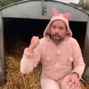 Farmer Ant getting ready to snuggle down with the pigs